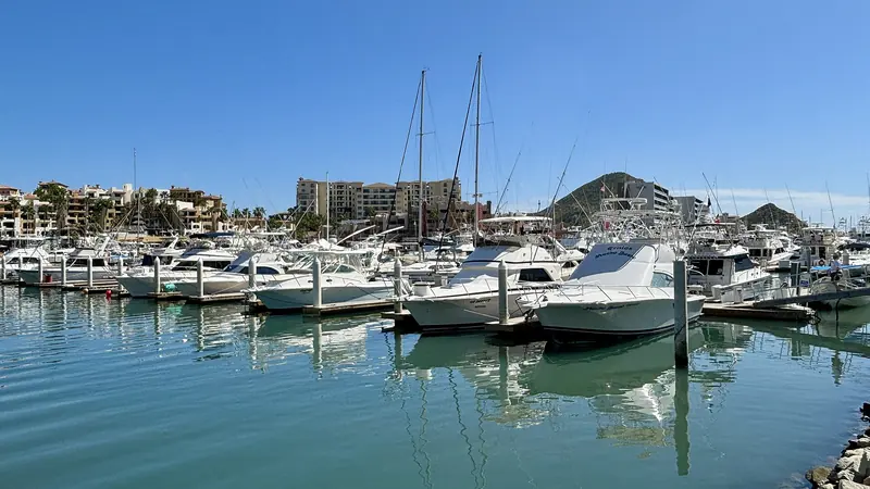 Rows of boats moored along the docks of Marina Cabo San Lucas on a sunny day