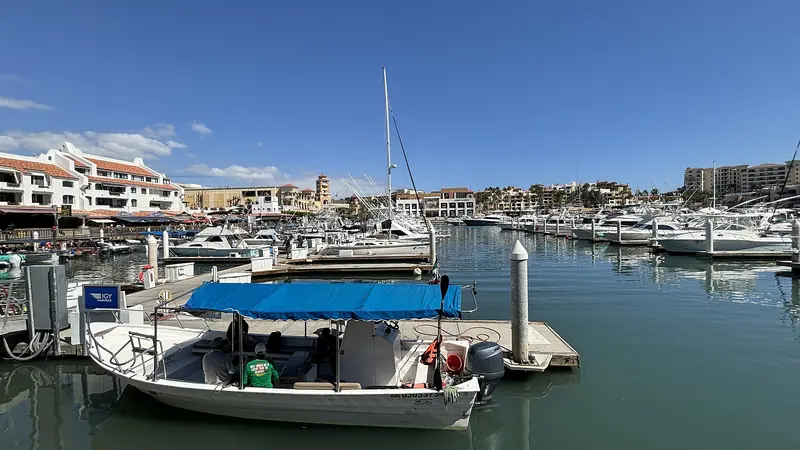 A small launch with a blue awning and rows of boats at the docks of Marina Cabo San Lucas