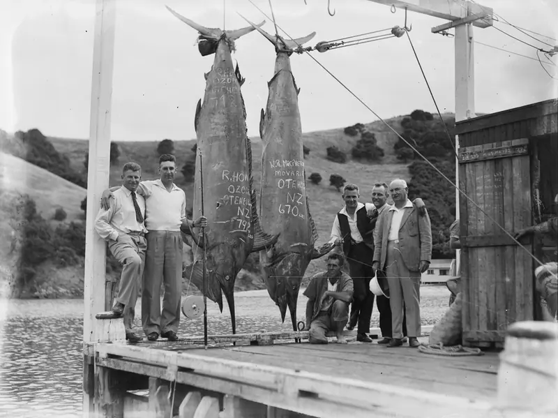 A 1939 photo from New Zealand of two large marlin hanging from a wharf scale beside their anglers