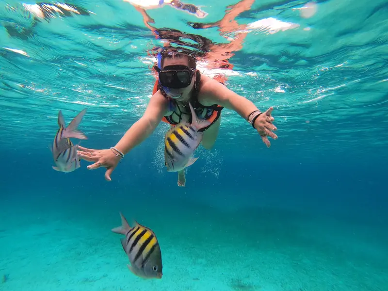 A snorkeler in a mask floating over a sandy bottom with striped sergeant major fish around her