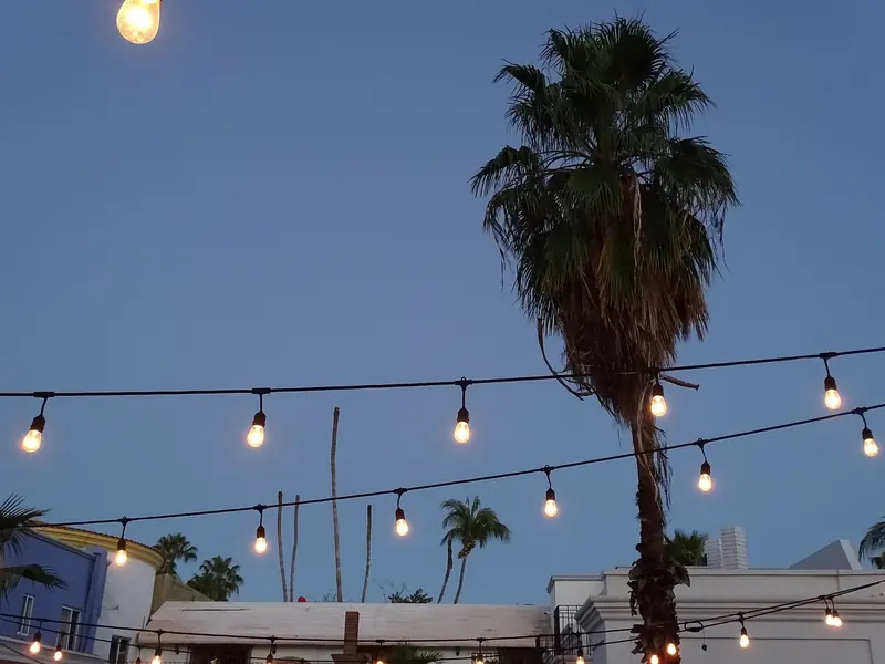 Strings of lit bulbs and a tall palm over a San José del Cabo street at dusk
