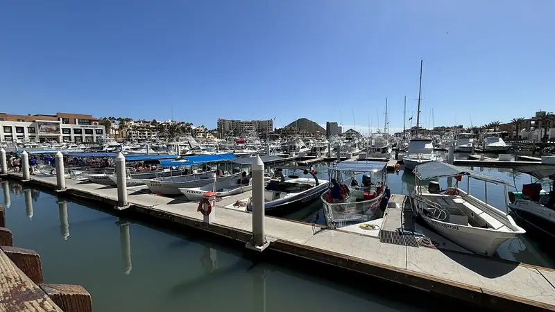 Boats tied up along the floating docks of the Cabo San Lucas marina on a sunny day
