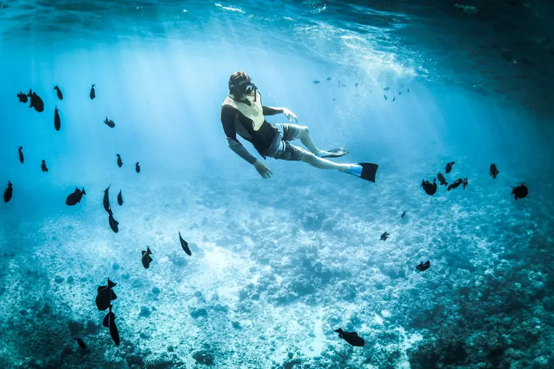 A snorkeler swimming over a reef with schools of fish in clear water