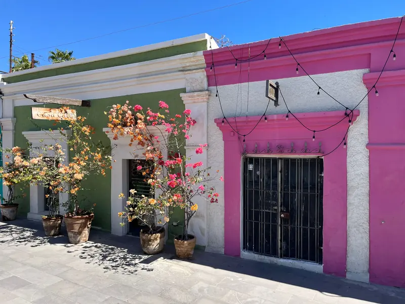 A colorful street in San José del Cabo with painted facades and flowering bougainvillea