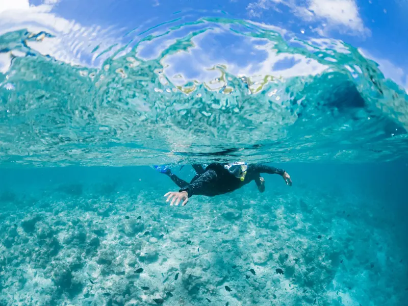 A snorkeler in a wetsuit swimming at the surface of clear turquoise water on a sunny day