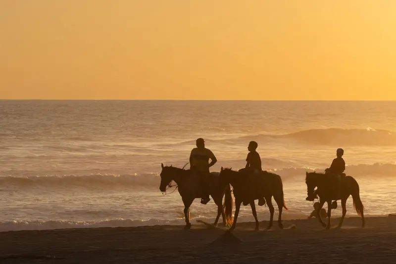 Three riders on horseback silhouetted against the surf at sunset on a wide sandy beach