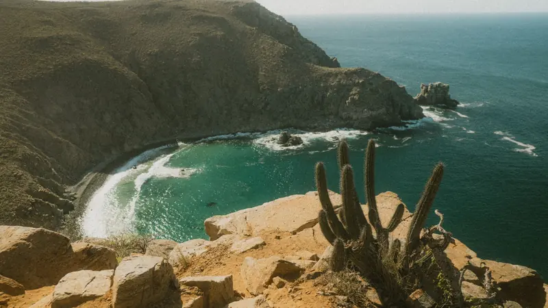 Una cala rocosa con cactus y agua verde en la costa de Baja California