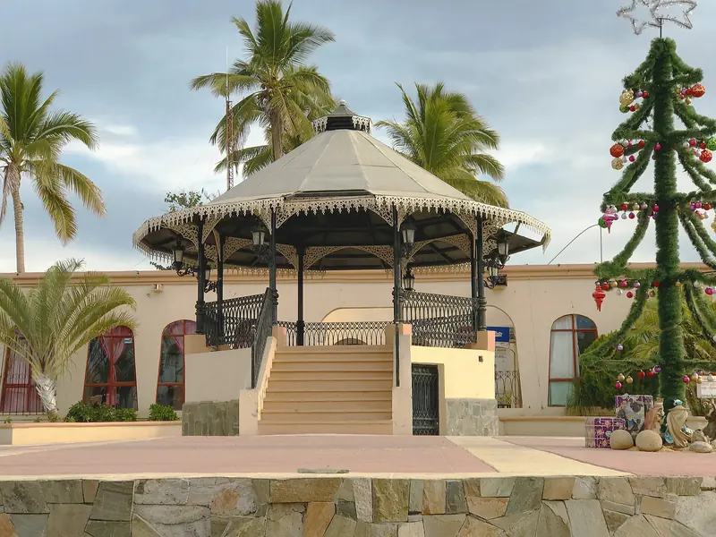 The bandstand in the Todos Santos plaza with palms and a decorated Christmas tree beside it