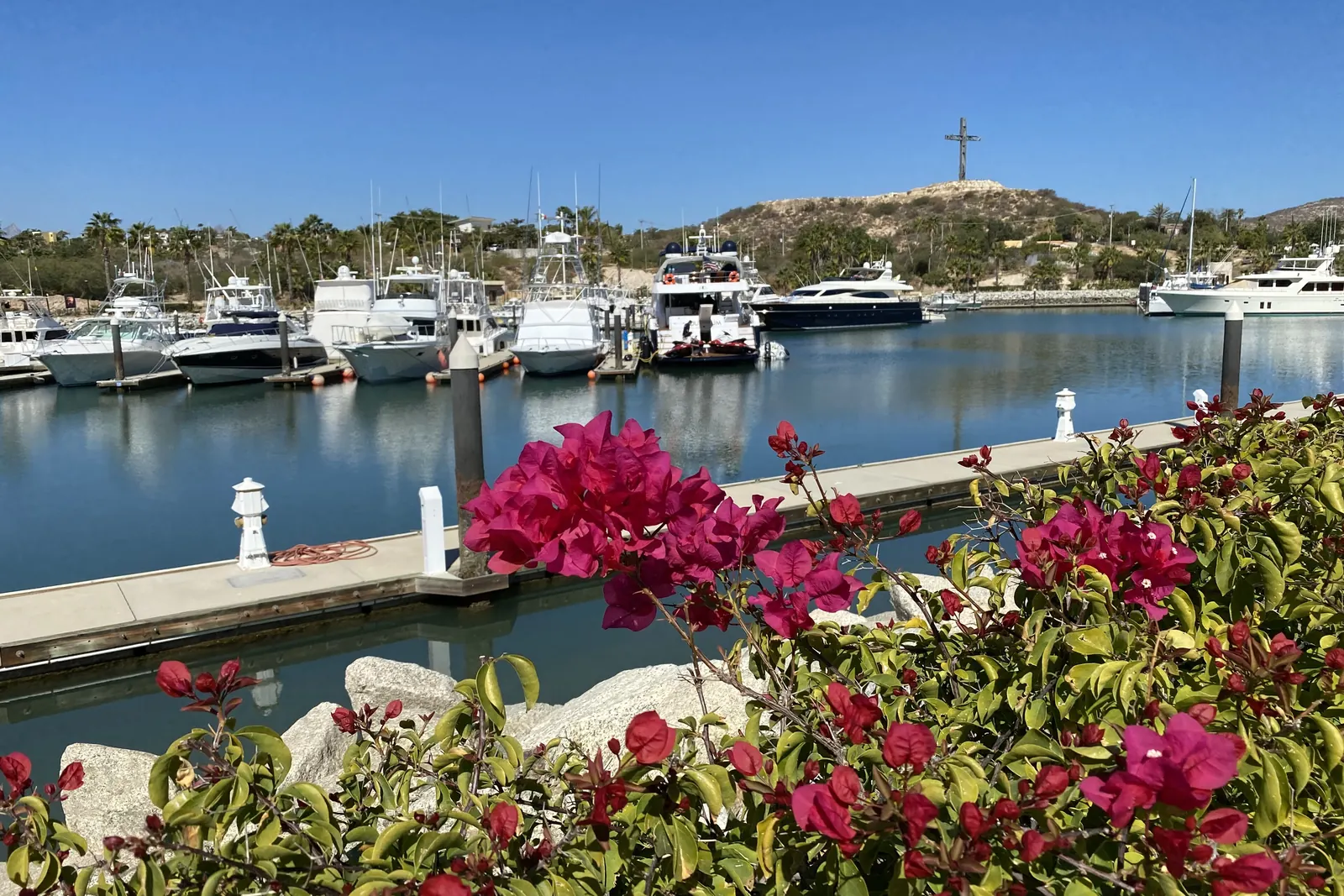 Boats at the marina in Puerto Los Cabos, on the coast near San José del Cabo