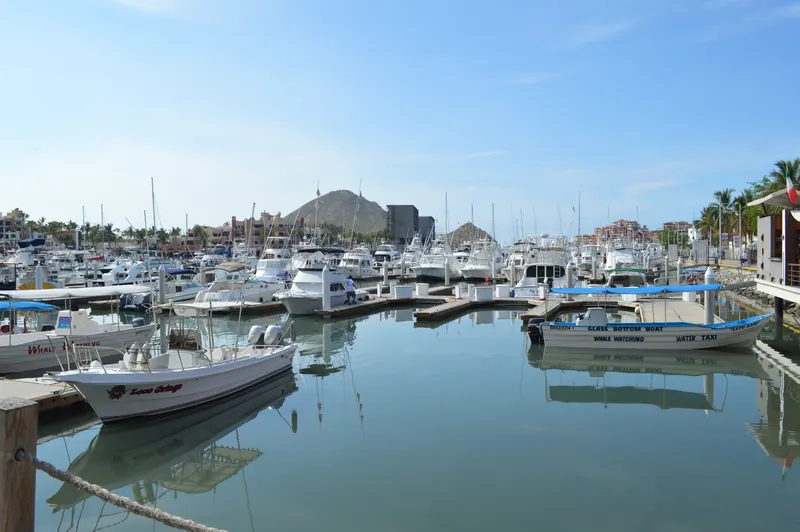 Embarcaciones en sus muelles en Marina Cabo San Lucas en una mañana despejada
