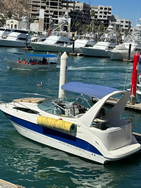 Bayliner 30 private yacht in Cabo San Lucas
