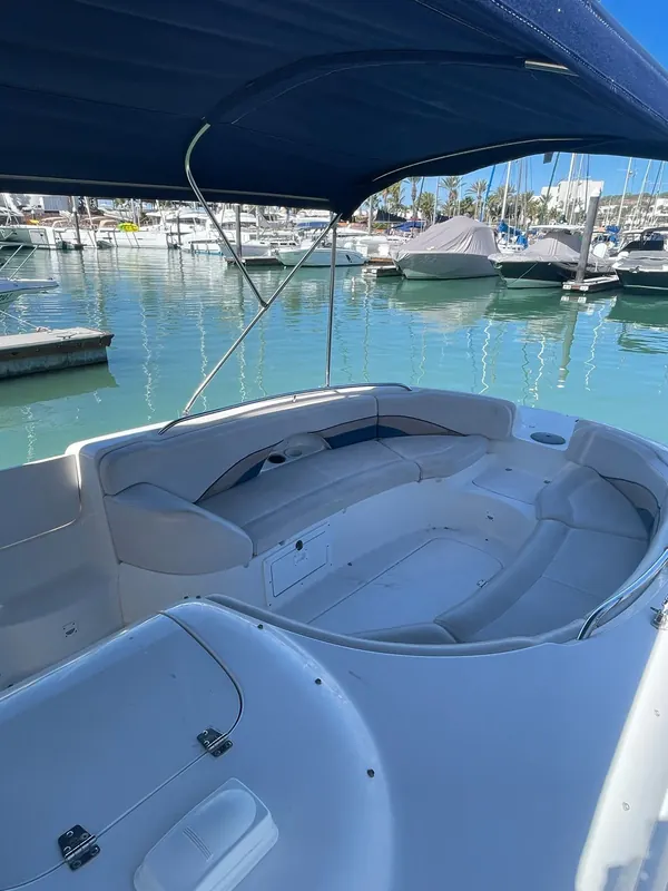 Chaparral 28 sport boat for private charter in Cabo San Lucas