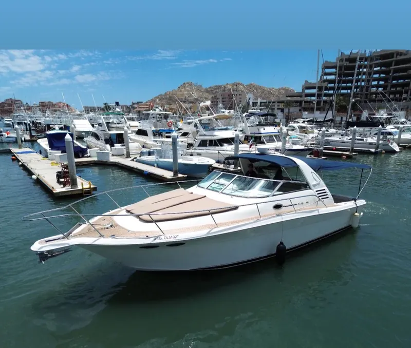 Sea Ray 36 express cruiser for private charter in Cabo San Lucas