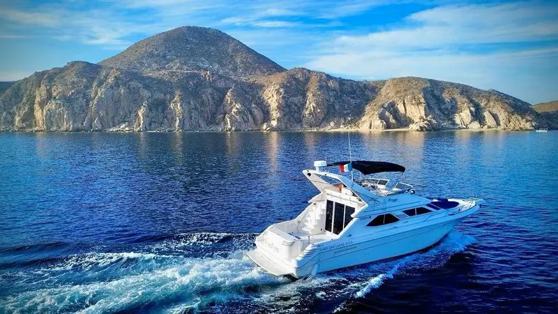 Sea Ray 40