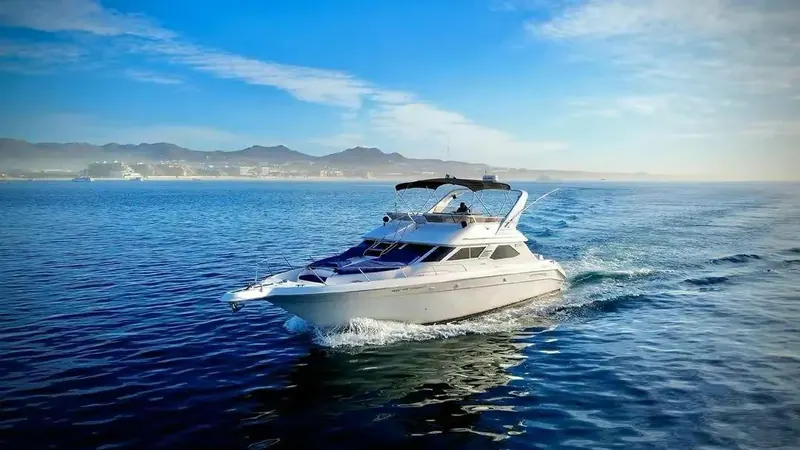 Sea Ray 40 private yacht in Cabo San Lucas