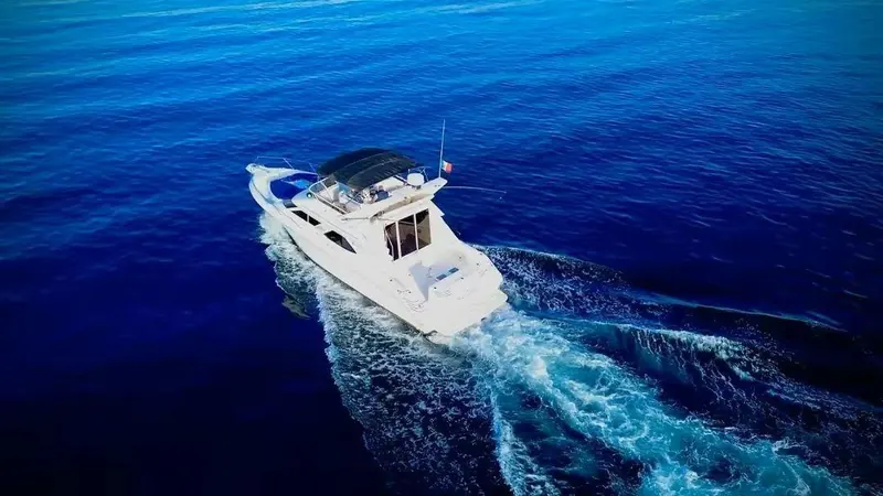 Whale season on a private yacht in Cabo San Lucas