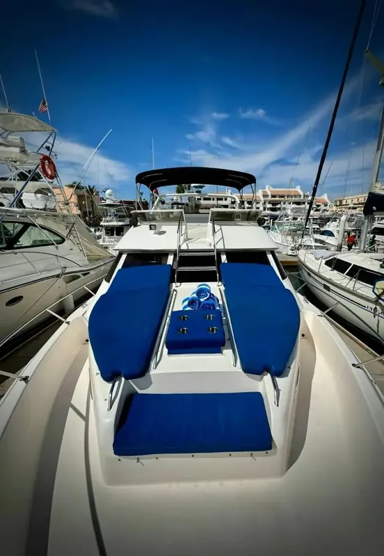 Sea Ray 40 private yacht in Cabo San Lucas