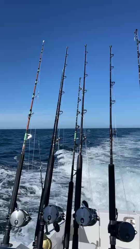 Cañas de pesca en sus porta cañas, en la popa del McKinna 70, navegando en mar abierto